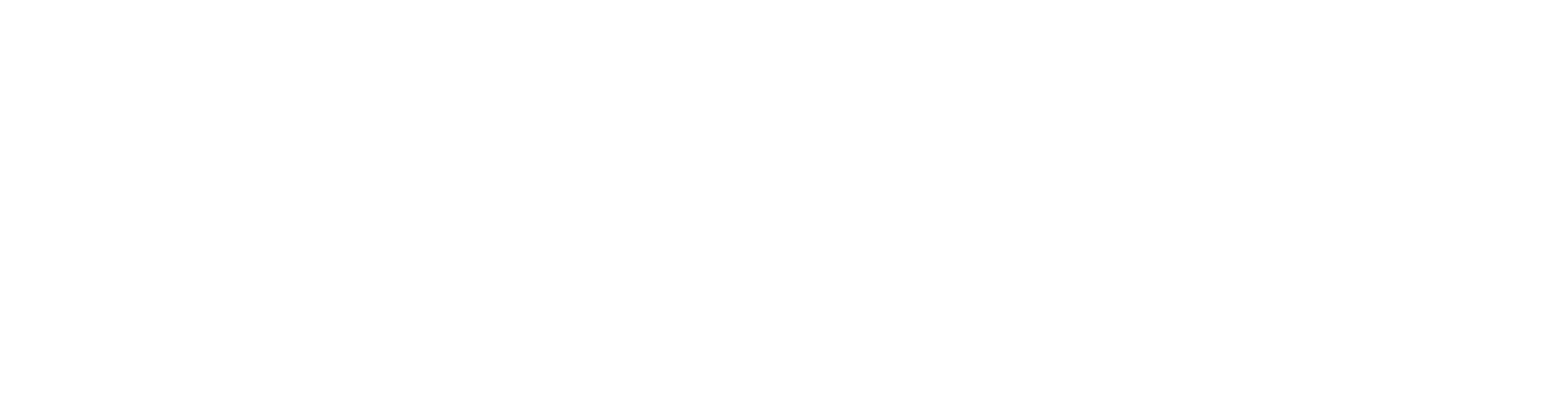 Optikit Logo Secundario